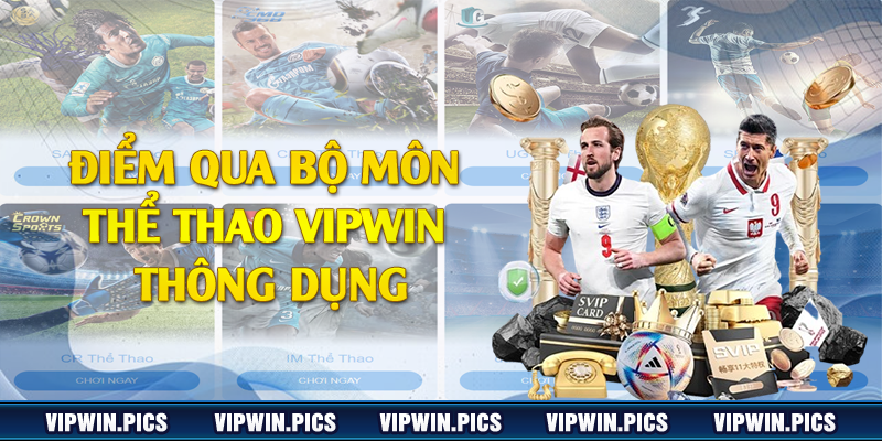 Điểm qua bộ môn thể thao Vipwin thông dụng
