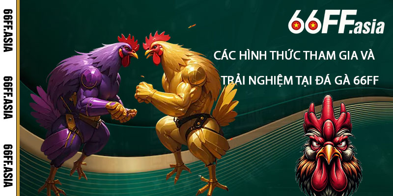 Các hình thức tham gia và trải nghiệm tại Đá Gà 66ff