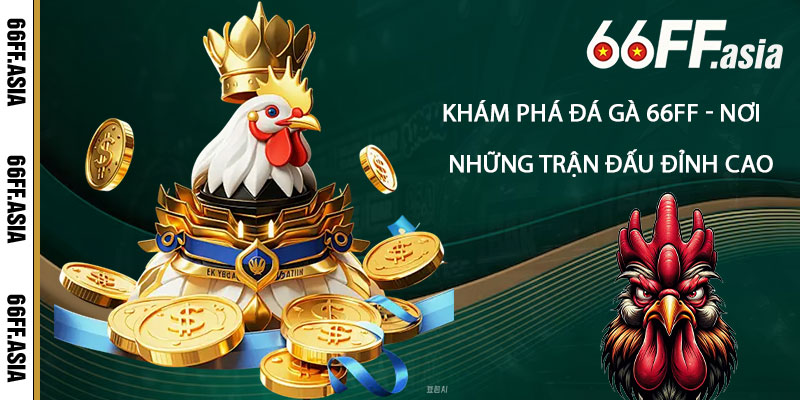 Khám-phá-Đá-Gà-66ff-Nơi-hội-tụ-của-những-trận-đấu-đỉnh-cao